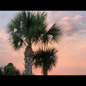 Meet your Posher, Sophia